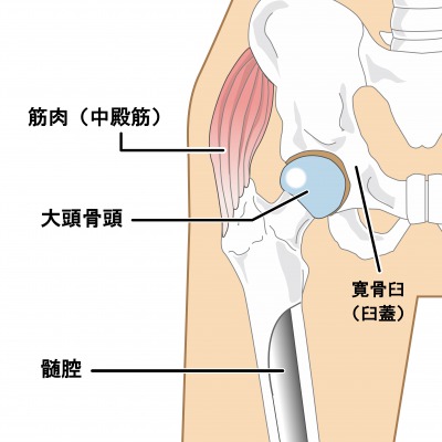 痛い 右足 右腰から右足にかけての痛み・・・胃の不調から来る足の痛み